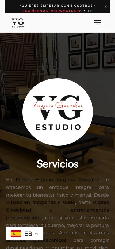 Servicios — Móvil